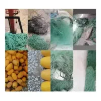 لیخ غلایه و لیخ زیر آبی یا گشیری و لیخ خرچنگی قایق