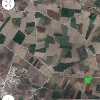 اجاره زمین کشاورزی به متراژ ۸ هزار متر مربع|اجارهٔ کوتاه‌مدت ویلا و باغ|محمدبار, |دیوار