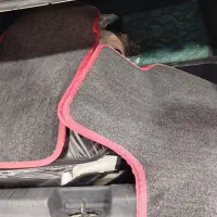 روکش صندلی سورن و موکت فابریک|قطعات یدکی و لوازم جانبی|فردیس, فردیس|دیوار