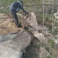 چاه کن ماهر