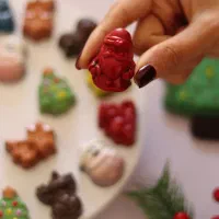 آموزش تخصصی و سفارش شکلات دست‌ساز شیراز|خدمات آموزشی|شیراز, هفت تنان|دیوار