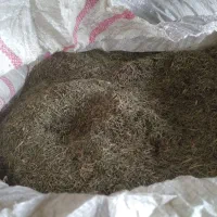 خار شتر، بز، گوسفند، گاو،