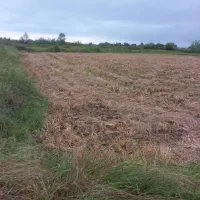 خونه ویلایی کلا۱۰۵۰۰متر|فروش خانه و ویلا|کوچصفهان, |دیوار