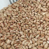 مغز و پسته اکبری تمام خندان