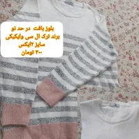 لباس|لباس|اصفهان, باغ زیار|دیوار