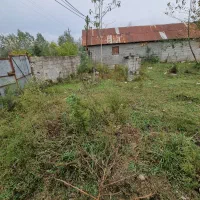 فروش زمین روستایی 2بر رضوانشهر