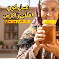 عسل گون اعلای زاگرس(1کیلوگرم)،ساکارز زیر 0.9 درصد