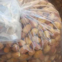 فروش قصب کلی وجزیی|خوردنی و آشامیدنی|شیراز, آزادگان|دیوار