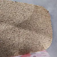 بذر مخصوص شاهیوند|گل و گیاه طبیعی|خرم‌آباد, |دیوار