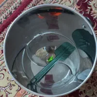 سبزی خردکن|خردکن، آسیاب، غذاساز|قم, شاه سید علی|دیوار