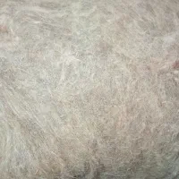 پشم گوسفندی