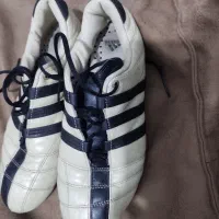 کتونی سالنی