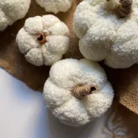 کدوی دکوری|صنایع دستی و سایر لوازم تزئینی|همدان, |دیوار