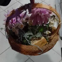 گل‌مصنوعی|گل مصنوعی|تربت جام, بیست متری منبع آب|دیوار