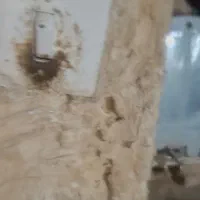 برق کشی ساختمان|خدمات پیشه و مهارت|مرودشت, ژیان|دیوار