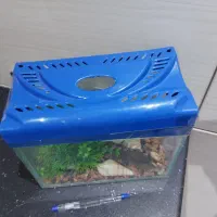 تعدادی لوازم منزل|ظروف سرو و پذیرایی|قم, شهرک قدس|دیوار