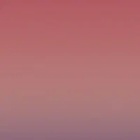 نیازمند ضامن