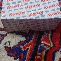 لنت ترمز جلو ۲۰۶ تیپ۲ و۳