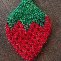 اسکاج شستشوی ظروف