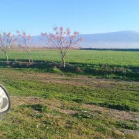 زمین-کشاورزی