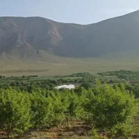 زمین جهت کشاورزی و گلخانه‌|فروش دفتر صنعتی، کشاورزی، تجاری|اصفهان, تیران|دیوار