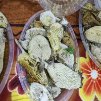 عسل کنار درجه یک|خوردنی و آشامیدنی|برازجان, |دیوار