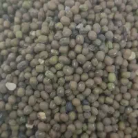 ماش درجه یک خوش پخت  ارتشی