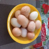 تخم مرغ لاری نطفه دار تضمینی