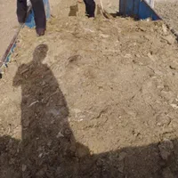 کود مرغی گوشتی عمده ای