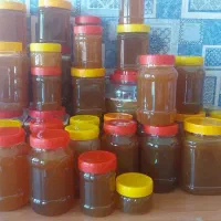 عسل کنار خالص عمده و خرده