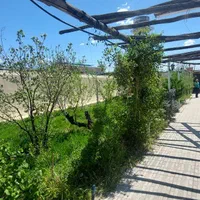 ویلا ۵۰۰و ۱۰۰۰ متری طاووسیه و اقدسیه و صفاییه|فروش دفتر صنعتی، کشاورزی، تجاری|کرج, عظیمیه|دیوار