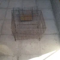 چند قفس پرنده|لوازم جانبی حیوانات|فسا, |دیوار