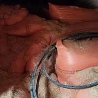 کاه|حیوانات مزرعه|کاکی, |دیوار