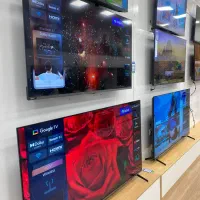 تلویزیون ( جشنواره )