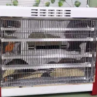 بخاری برقی بزرگ 3000وات