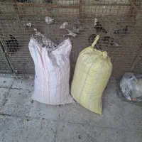 کود کفتر و قفس طوطی