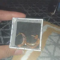 گوشواره ژوپینگ نونو|بدلیجات|تربت جام, پارک جنگلی|دیوار