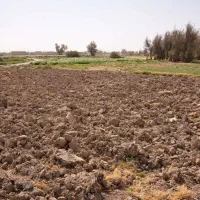 زمین مناسب گلخانه وگاوداری درضیاباد