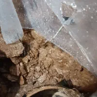 چاه کنی دستی و همراه با مته زنی افقی تمام کار