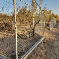 اجرای فنس وسکوواتاق والاچیق|خدمات پیشه و مهارت|سامان, |دیوار