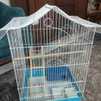 قفس پرنده با تجهیزات کامل