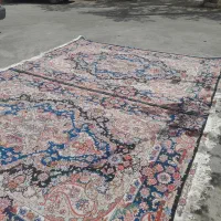 جفت ۶متری سالاری|فرش|تبریز, |دیوار