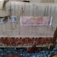 فرش نیمه کاره زرنیم