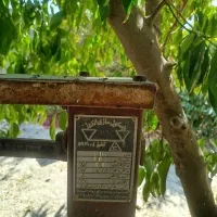 فروش باسکول|ابزارآلات|نورآباد ممسنی, |دیوار