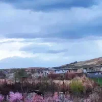 327متر باغچه گلدشت بروجرد