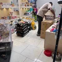 ملزومات حیوانات خانگی پت شاپ|لوازم جانبی حیوانات|مشهد, گلبرگ شمالی|دیوار