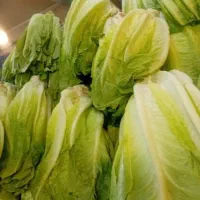 نیرو کار درمیوه فروشی