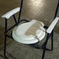 صندلی سیار توالت فرنگی