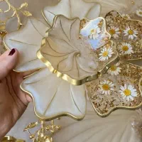 ظروف پذیرایی رزین