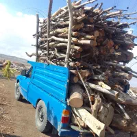 خریدو فروش چوب
